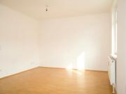 Sonnige Garconniere mit AllgGarten nahe CITY PARK