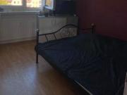 sonnige, helle Wohnung ab sofort in Greifswald zu vermieten