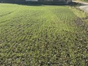 SONNIGE LEBENSQUALITÄT AM LAND FÜR IHR PRIVATES...