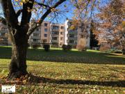 Sonnige, ruhige 3 Zi Wohnung in zentraler Lage