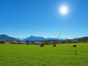 Sonniger, voll erschlossener Baugrund in Seekirchen auch...