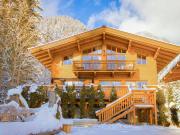 Sonniges, alpines Wellness Chalet nahe der Steinplatte 03776