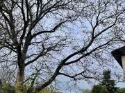 Sonniges Grundstück!