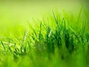 Sonzay 37360 Programme neuf terrain neuf à vendre