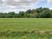 Sorigny 37250 Programme neuf terrain neuf à vendre