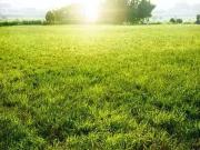 Sorigny 37250 Programme neuf terrain neuf à vendre