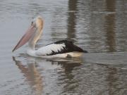 South Morang South Morang