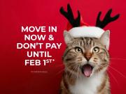 South Pointe Terrace