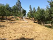 Souto, Arcos de Valdevez, terreno para construo 5.900m2,...