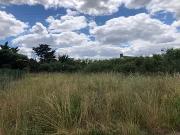 Souzay Champigny 49400 Programme neuf terrain neuf à vendre