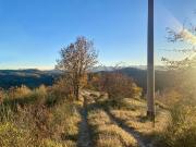 SP115 15 10 vani 100000mq