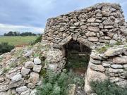 SP286 102 bilocale 23mq