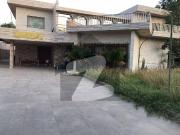 Spacious 1000 yard fully furnished bungalow for rent in...