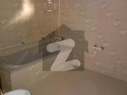 Spacious 1000sq. Yards Bungalow Available for Rent DHA...