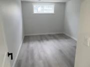 Spacious 1 bedroom basement suite plus den