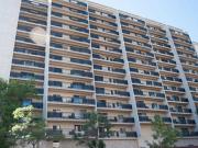 Spacious 1 Bedroom for April 1st