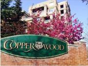 Spacious 2 Bedroom and 2 bathroom condo