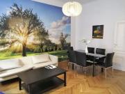 Spacious 2 bedrooms Apart near Schönbrunn, Vienna...