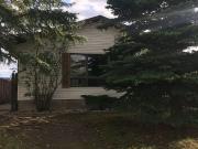 Spacious 2 level Whitehorn Basement