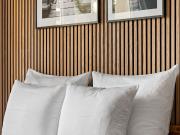 Spacious 2 Room Apartment as a Retreat in the Middle of...