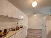Spacious 3 Bedroom Apartments 15 Bathroom at only 1399