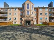 Spacious 3 Bedroom Downtown Condominium