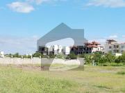 Spacious 5 Kanal Non Develop Farmhouse Land | Solid...