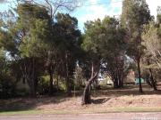 Spacious 807m2 Allotment Prime Opportunity!