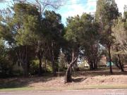 Spacious 807mÂ² Allotment Prime Opportunity!