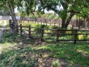 spacious 8,565m² plot in president p.