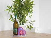Spacious and bright 1 bedroom flat in Kreuzberg