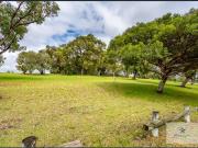 Spacious and Charming 4 Bedroom Rental House in Karrinyup