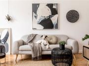 Spacious Coastal Living in Jacobs Well 5 Bedrooms, 3...