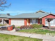 Spacious Family Living on 900sqm with Outstanding Shedding