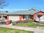 Spacious Family Living on 900sqm with Outstanding Shedding