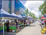 Spacious Fully Furnished Apartment Prime Kelvin Grove...