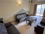 Spacious furnished apartment for rent in sana arcade...