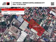 Spacious Industrial Lot for Sale in Mandaue Accessible...