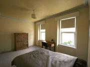 Spacious, just refurbished student house, new carpets,...