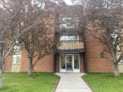 Spacious living and dining area with lots of natural...