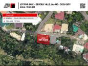 Spacious Lot for Sale in a High End Cebu City Neighborhood