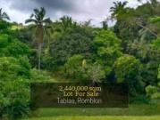 Spacious Lot for Sale in Tablas, Romblon