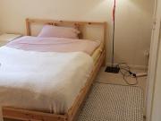 Spacious Maisonette heart of Blackheath Village