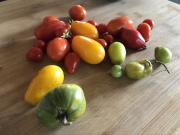 Spacious Modern Loft on an Organic Farm Spacious Modern Loft on an Organic Farm