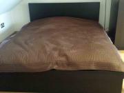 Spacious, modern loft Studio Golders Green