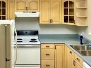 Spacious & newlyrenovated Land O' Lakes House with