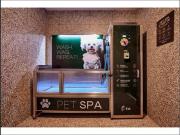 Spacious & Pet Friendly 2 Bed 1 Bath Apartment