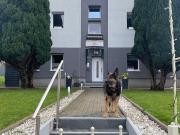 Spacious & pretty flat in Kiel, Kiel Amsterdam...