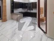 Spacious Prime Location 5 Marla House Available For rent...
