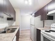 Spacious Renovated 1 2 3 Bedroom Apt s December 1 2 RENT